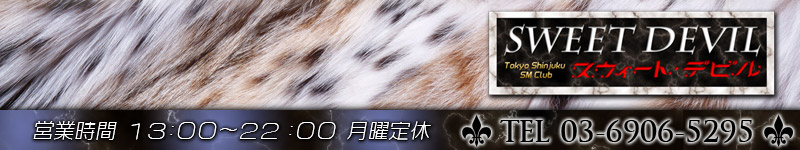 ���������ȡ��ǥӥ�